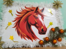 В гостях у Деда Мороза